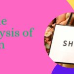 PESTLE Analysis of Shein